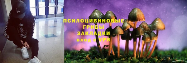 2c-b Алексин