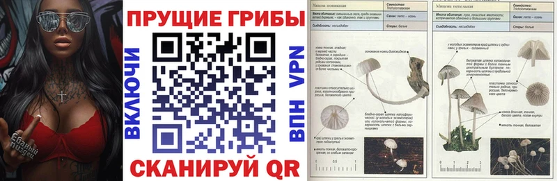 Галлюциногенные грибы мицелий маркетплейс наркотические препараты Курчалой